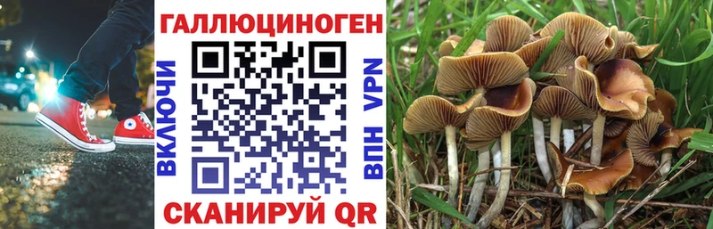 сайты даркнета телеграм  цена   Разумное  Псилоцибиновые грибы MAGIC MUSHROOMS 